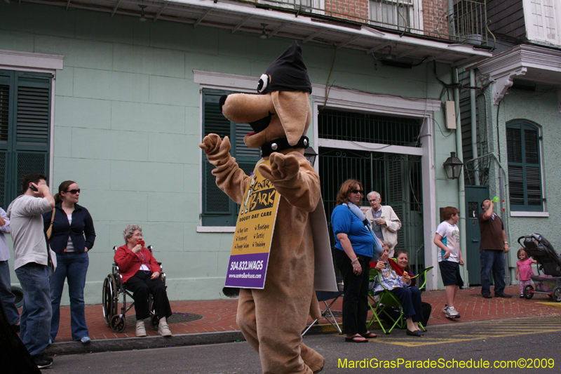 2009-Mystic-Krewe-of-Barkus-Mardi-Gras-French-Quarter-New-Orleans-Dog-Parade-0609