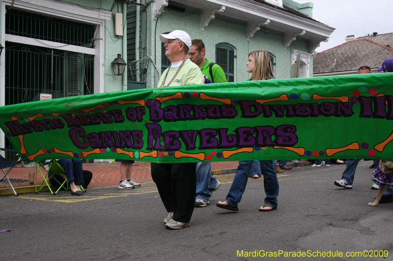 2009-Mystic-Krewe-of-Barkus-Mardi-Gras-French-Quarter-New-Orleans-Dog-Parade-0616