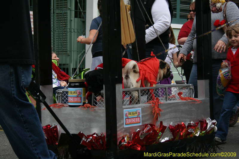 2009-Mystic-Krewe-of-Barkus-Mardi-Gras-French-Quarter-New-Orleans-Dog-Parade-0634