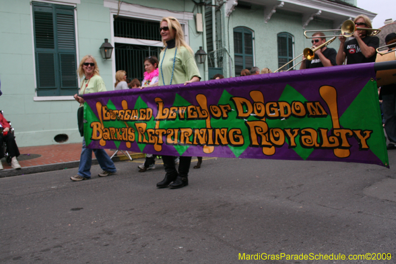 2009-Mystic-Krewe-of-Barkus-Mardi-Gras-French-Quarter-New-Orleans-Dog-Parade-0636