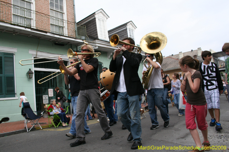 2009-Mystic-Krewe-of-Barkus-Mardi-Gras-French-Quarter-New-Orleans-Dog-Parade-0637