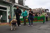 2009-Mystic-Krewe-of-Barkus-Mardi-Gras-French-Quarter-New-Orleans-Dog-Parade-0486