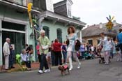 2009-Mystic-Krewe-of-Barkus-Mardi-Gras-French-Quarter-New-Orleans-Dog-Parade-0507