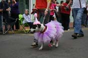 2009-Mystic-Krewe-of-Barkus-Mardi-Gras-French-Quarter-New-Orleans-Dog-Parade-0509