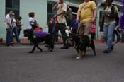 2009-Mystic-Krewe-of-Barkus-Mardi-Gras-French-Quarter-New-Orleans-Dog-Parade-0527