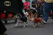 2009-Mystic-Krewe-of-Barkus-Mardi-Gras-French-Quarter-New-Orleans-Dog-Parade-0531