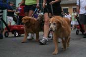 2009-Mystic-Krewe-of-Barkus-Mardi-Gras-French-Quarter-New-Orleans-Dog-Parade-0532