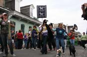 2009-Mystic-Krewe-of-Barkus-Mardi-Gras-French-Quarter-New-Orleans-Dog-Parade-0544