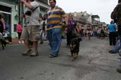 2009-Mystic-Krewe-of-Barkus-Mardi-Gras-French-Quarter-New-Orleans-Dog-Parade-0550