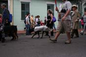 2009-Mystic-Krewe-of-Barkus-Mardi-Gras-French-Quarter-New-Orleans-Dog-Parade-0551