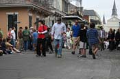 2009-Mystic-Krewe-of-Barkus-Mardi-Gras-French-Quarter-New-Orleans-Dog-Parade-0571