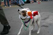 2009-Mystic-Krewe-of-Barkus-Mardi-Gras-French-Quarter-New-Orleans-Dog-Parade-0574