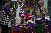 2009-Mystic-Krewe-of-Barkus-Mardi-Gras-French-Quarter-New-Orleans-Dog-Parade-0576