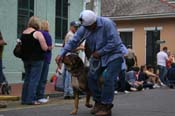2009-Mystic-Krewe-of-Barkus-Mardi-Gras-French-Quarter-New-Orleans-Dog-Parade-0577