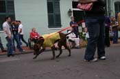 2009-Mystic-Krewe-of-Barkus-Mardi-Gras-French-Quarter-New-Orleans-Dog-Parade-0581