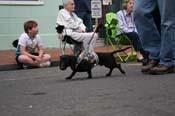2009-Mystic-Krewe-of-Barkus-Mardi-Gras-French-Quarter-New-Orleans-Dog-Parade-0584