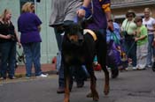 2009-Mystic-Krewe-of-Barkus-Mardi-Gras-French-Quarter-New-Orleans-Dog-Parade-0595
