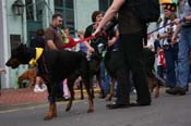 2009-Mystic-Krewe-of-Barkus-Mardi-Gras-French-Quarter-New-Orleans-Dog-Parade-0600