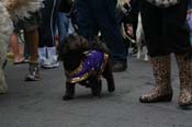 2009-Mystic-Krewe-of-Barkus-Mardi-Gras-French-Quarter-New-Orleans-Dog-Parade-0605