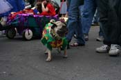2009-Mystic-Krewe-of-Barkus-Mardi-Gras-French-Quarter-New-Orleans-Dog-Parade-0607