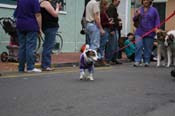 2009-Mystic-Krewe-of-Barkus-Mardi-Gras-French-Quarter-New-Orleans-Dog-Parade-0612