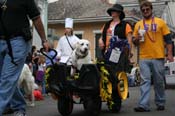 2009-Mystic-Krewe-of-Barkus-Mardi-Gras-French-Quarter-New-Orleans-Dog-Parade-0613
