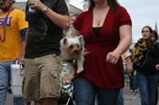 2009-Mystic-Krewe-of-Barkus-Mardi-Gras-French-Quarter-New-Orleans-Dog-Parade-0614