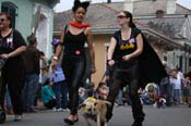 2009-Mystic-Krewe-of-Barkus-Mardi-Gras-French-Quarter-New-Orleans-Dog-Parade-0619