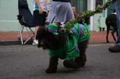 2009-Mystic-Krewe-of-Barkus-Mardi-Gras-French-Quarter-New-Orleans-Dog-Parade-0623