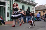 2009-Mystic-Krewe-of-Barkus-Mardi-Gras-French-Quarter-New-Orleans-Dog-Parade-0624