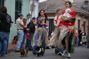 2009-Mystic-Krewe-of-Barkus-Mardi-Gras-French-Quarter-New-Orleans-Dog-Parade-0629