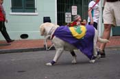 2009-Mystic-Krewe-of-Barkus-Mardi-Gras-French-Quarter-New-Orleans-Dog-Parade-0630