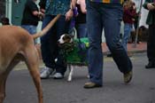 2009-Mystic-Krewe-of-Barkus-Mardi-Gras-French-Quarter-New-Orleans-Dog-Parade-0641