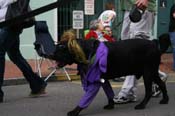 2009-Mystic-Krewe-of-Barkus-Mardi-Gras-French-Quarter-New-Orleans-Dog-Parade-0644