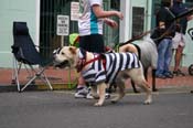 2009-Mystic-Krewe-of-Barkus-Mardi-Gras-French-Quarter-New-Orleans-Dog-Parade-0661