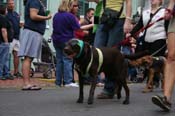 2009-Mystic-Krewe-of-Barkus-Mardi-Gras-French-Quarter-New-Orleans-Dog-Parade-0662