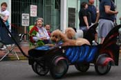 2009-Mystic-Krewe-of-Barkus-Mardi-Gras-French-Quarter-New-Orleans-Dog-Parade-0665
