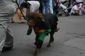 2009-Mystic-Krewe-of-Barkus-Mardi-Gras-French-Quarter-New-Orleans-Dog-Parade-0668