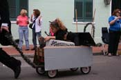 2009-Mystic-Krewe-of-Barkus-Mardi-Gras-French-Quarter-New-Orleans-Dog-Parade-0671