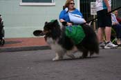 2009-Mystic-Krewe-of-Barkus-Mardi-Gras-French-Quarter-New-Orleans-Dog-Parade-0674