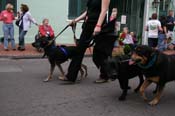 2009-Mystic-Krewe-of-Barkus-Mardi-Gras-French-Quarter-New-Orleans-Dog-Parade-0679