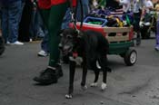 2009-Mystic-Krewe-of-Barkus-Mardi-Gras-French-Quarter-New-Orleans-Dog-Parade-0684