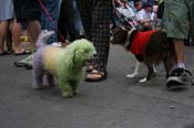 2009-Mystic-Krewe-of-Barkus-Mardi-Gras-French-Quarter-New-Orleans-Dog-Parade-0689