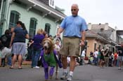 2009-Mystic-Krewe-of-Barkus-Mardi-Gras-French-Quarter-New-Orleans-Dog-Parade-0694