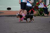 2009-Mystic-Krewe-of-Barkus-Mardi-Gras-French-Quarter-New-Orleans-Dog-Parade-0702