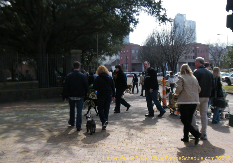 Mystic-Krewe-of-Barkus-2010-HC-Dog-Parade-Mardi-Gras-New-Orleans-8070