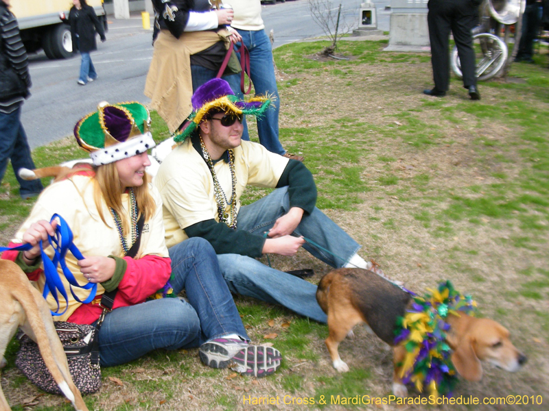 Mystic-Krewe-of-Barkus-2010-HC-Dog-Parade-Mardi-Gras-New-Orleans-8076