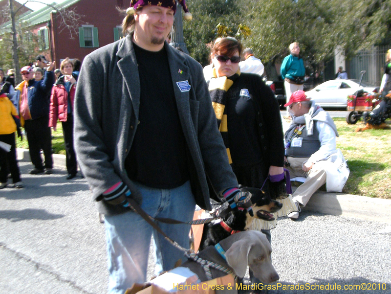 Mystic-Krewe-of-Barkus-2010-HC-Dog-Parade-Mardi-Gras-New-Orleans-8088