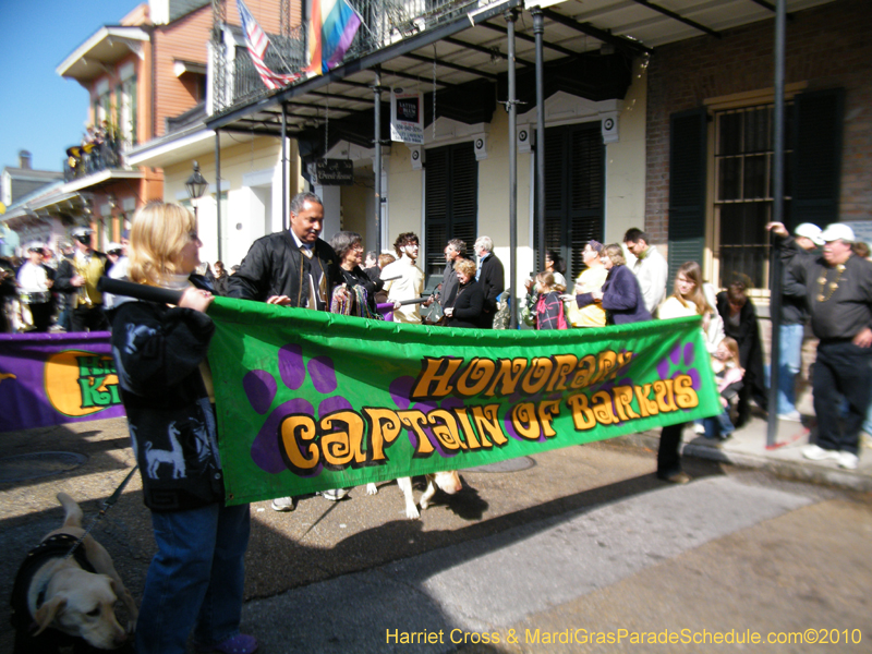 Mystic-Krewe-of-Barkus-2010-HC-Dog-Parade-Mardi-Gras-New-Orleans-8170