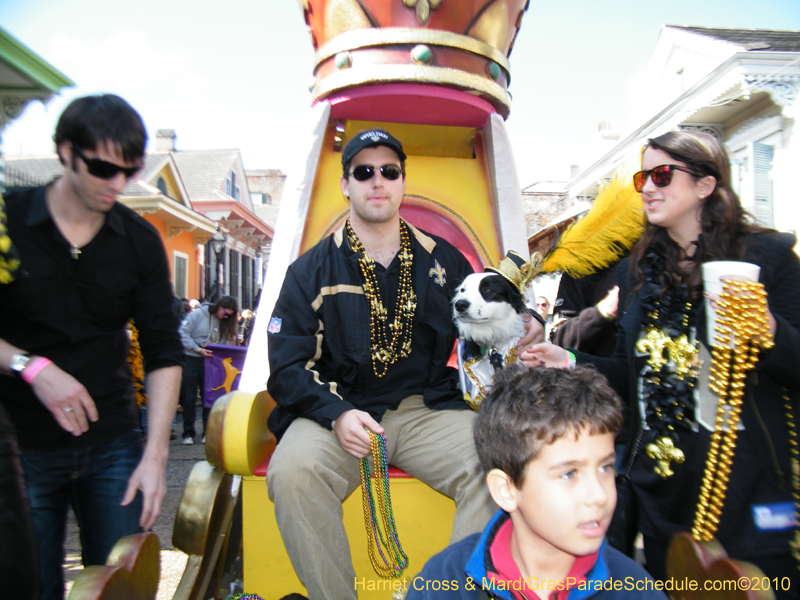 Mystic-Krewe-of-Barkus-2010-HC-Dog-Parade-Mardi-Gras-New-Orleans-8200